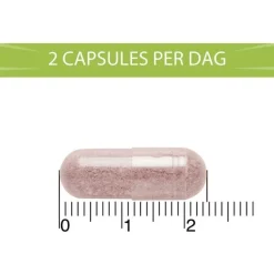 BlaseBerry 100 capsules