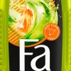 Fa Men Xtreme Sport Energy Boost 3-in-1 Douchegel 250 ML