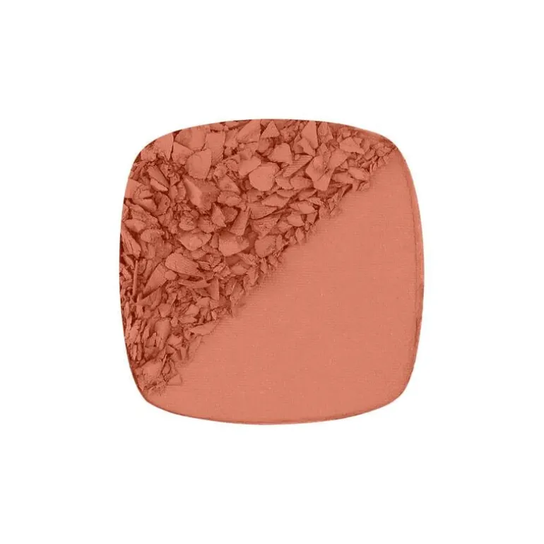 L'Oréal Paris True Match Le Blush 160 Pêche Roze 5 GR