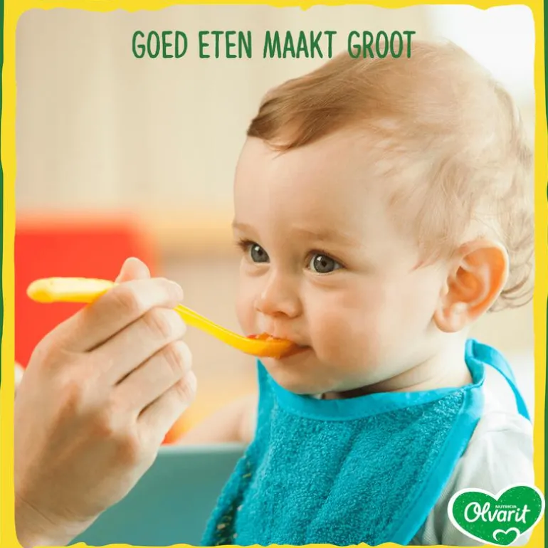Olvarit Pompoen Kip Pasta Babyhapje 12+ maanden 250 GR
