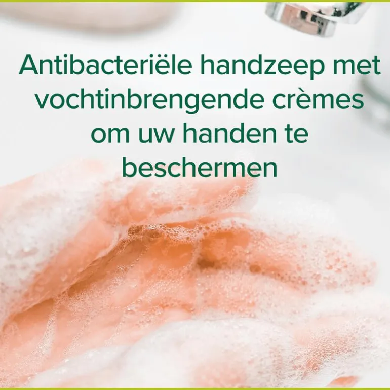 Palmolive Hygiëne Plus Family Antibacteriële Vloeibare Handzeep 300 ML