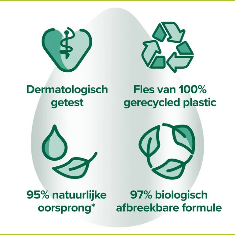 Palmolive Hygiëne Plus Family Antibacteriële Vloeibare Handzeep 300 ML