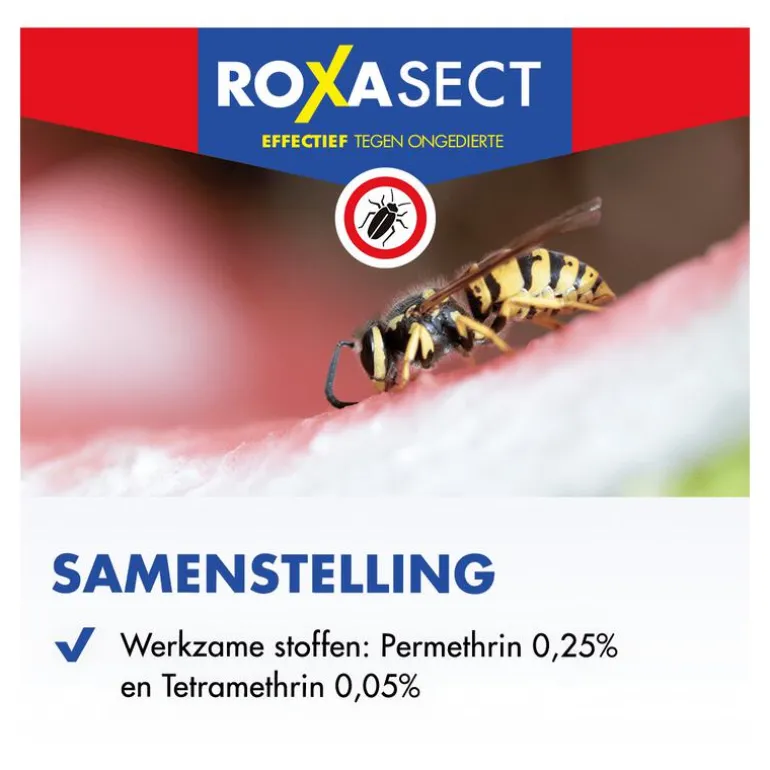 Roxasect Spuitbus Kruipende Insecten en Wespen 400 ML