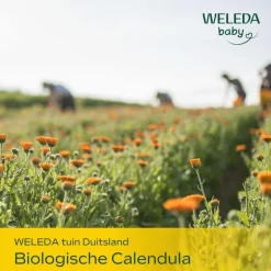 Weleda Calendula Baby Billenbalsem 75 ml